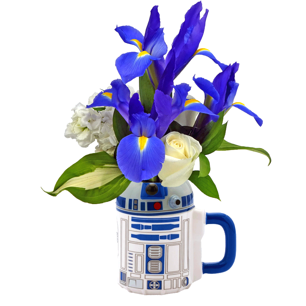 Star Wars R2-D2 Flower Mug | Flowers | Disney Flowers | Karin's Florist